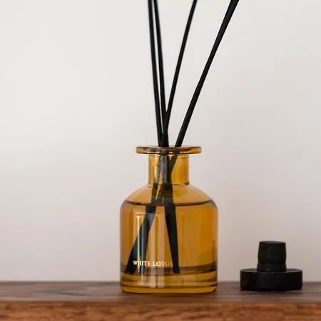 Beachside Surf & Sun Playa Americas *