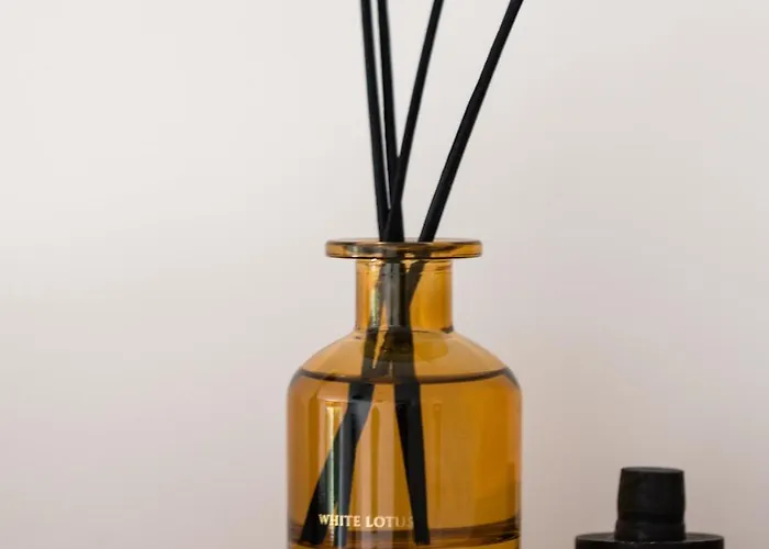 Beachside Surf&sun Playa Americas *